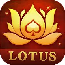skill based teen patti download